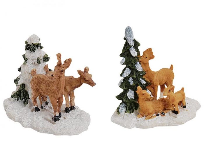 Rehe mit Tanne
