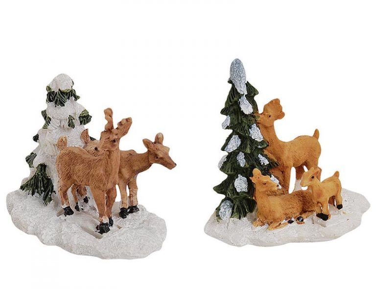 Rehe mit Tanne