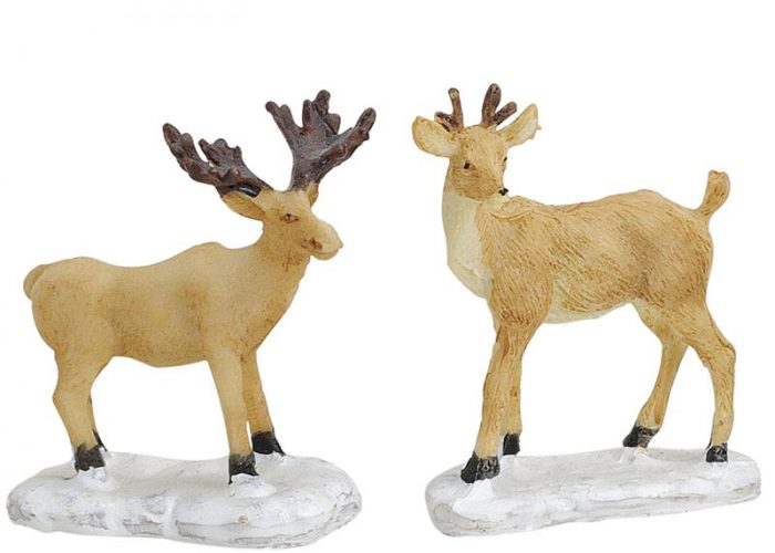 Verschiedene Rehe und Hirsche