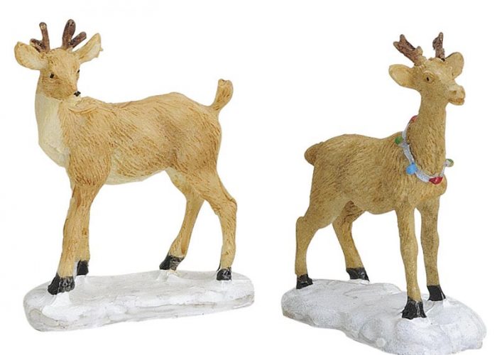 Verschiedene Rehe