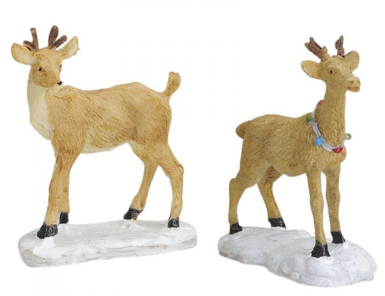 Verschiedene Rehe